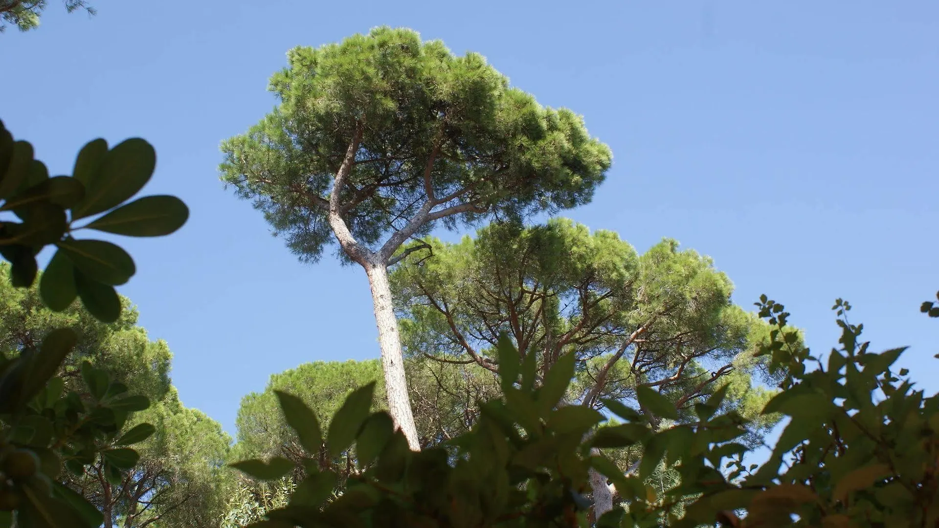 Hôtel Les Jardins De Sainte-Maxime 3*,